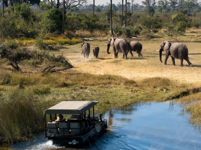 Botswana - Uma Aventura com Estilo - Chobe, Savute e Delta do Okavango